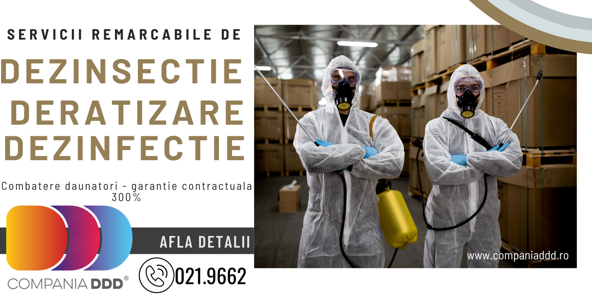 Compania DDD® – solutia perfecta pentru problemele tale cu daunatorii