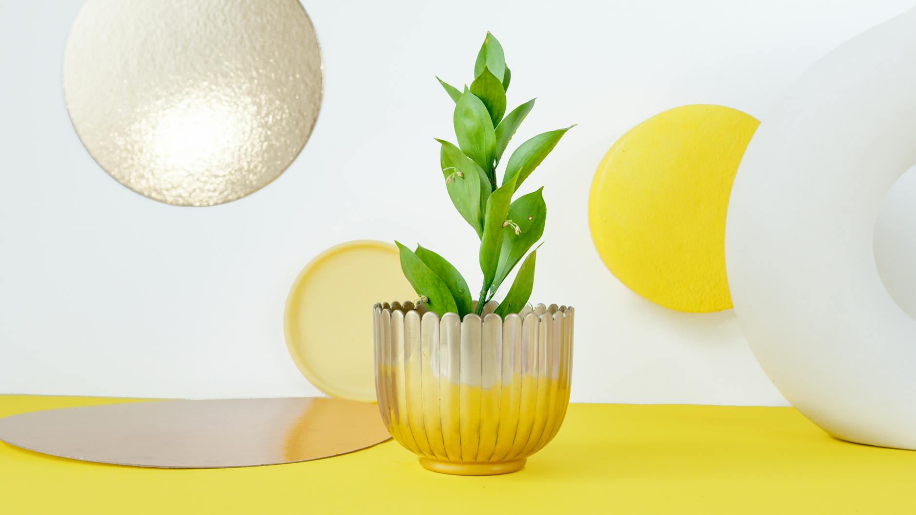 Hemoglobina mică: cauze, simptome și tratament.