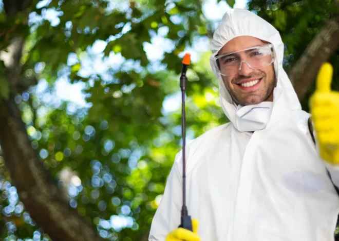 Deratizare si Dezinsectie Bucuresti – Solutii Profesionale pentru un Mediu Curat