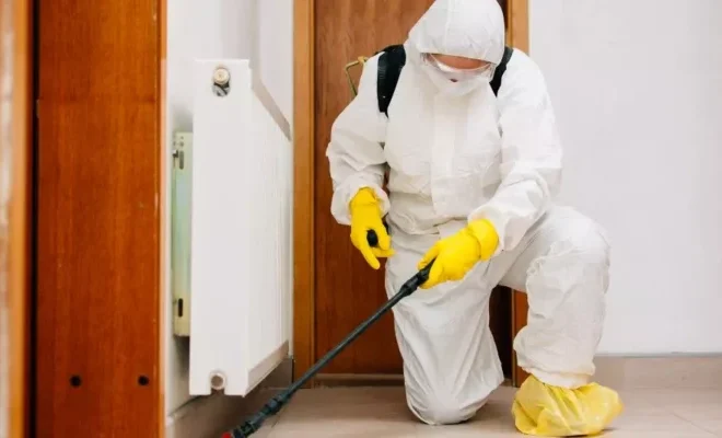 Deratizare și Dezinsecție în București: Soluții Profesionale pentru un Mediu Curat și Sănătos