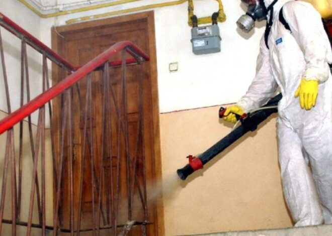 Deratizare și Dezinsecție în București: Soluții Profesionale pentru un Mediu Curat și Sănătos