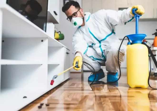 Deratizare și Dezinsecție în București: Soluții Eficiente pentru Un Mediu Curat și Sănătos