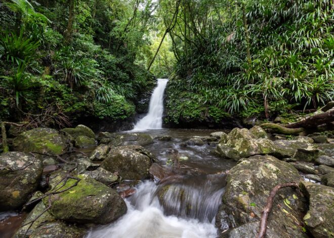 Ghid practic pentru gestionarea stresului cu tehnici de respirație