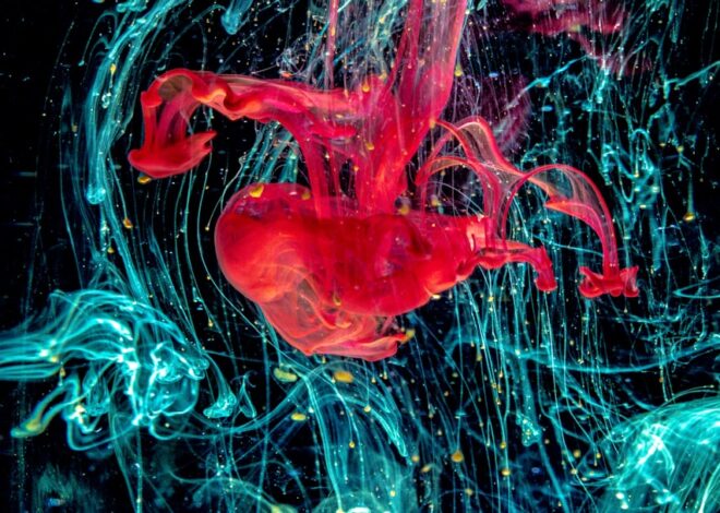 Simptome Precoce Ale Cancerului Colorectal