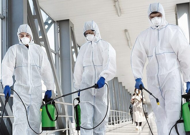 Soluții eficiente de atac pentru firmele de deratizare cum să alegi și să optimizezi serv