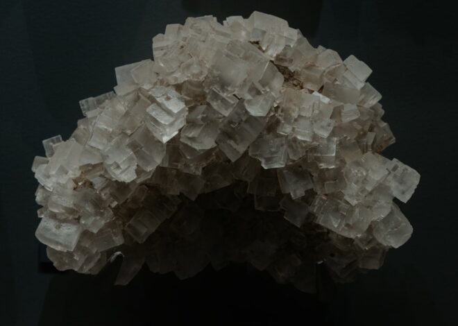 Cum Știi Că Ai Carență De Magneziu