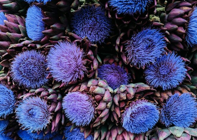 Simptome Cancer Pancreatic