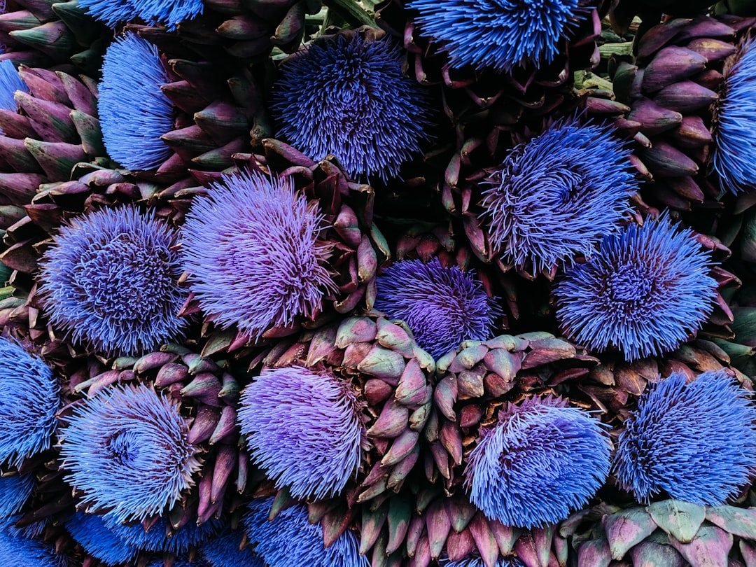 Simptome Cancer Pancreatic