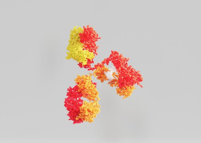 este corect imunoglobuline sau imunoglubuline?