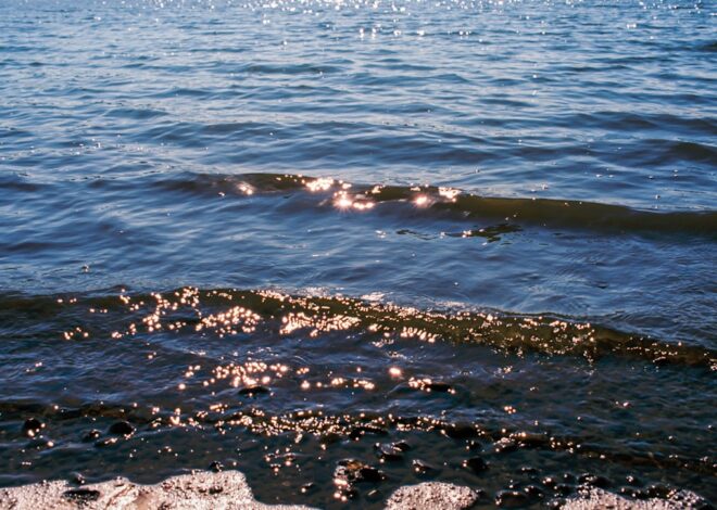 ce să mănânci dacă ai glicemia mare