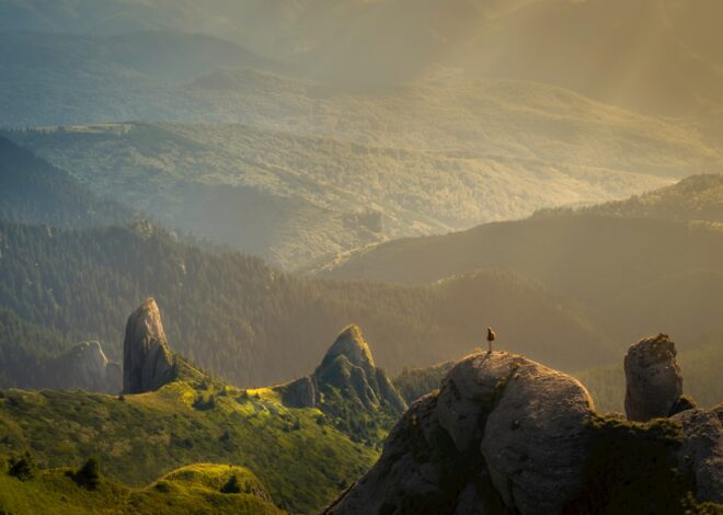 cum se scrie corect: ecografie sau echografie?