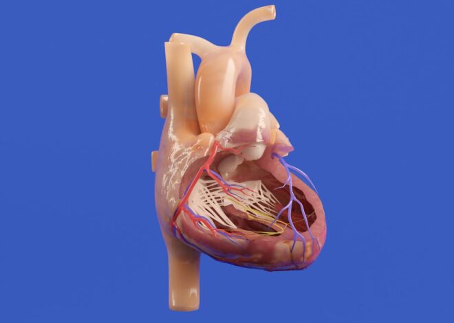 cum se scrie corect: cardiologie sau cardilogie?