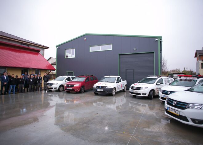 Deratizare modernă: soluții sigure împotriva rozătoarelor