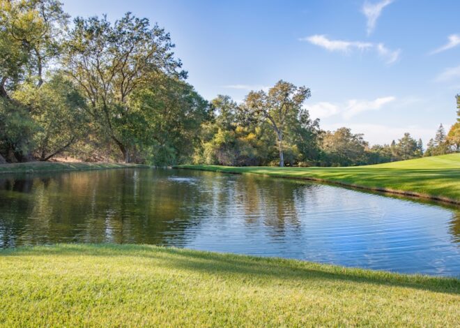 Cum să previi cariile la copiii mici