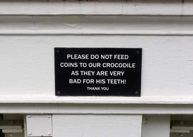 Cum să-ți protejezi dinții în timpul sportului