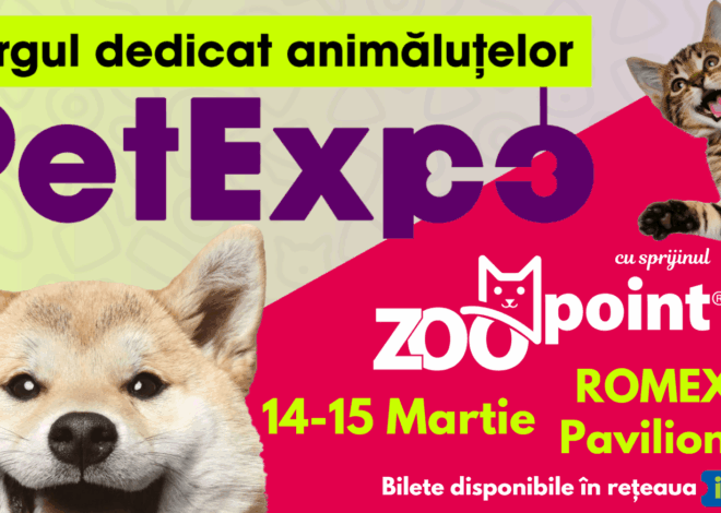 PetExpo 2026: Produse smart și high-tech, concursuri cu premii și activități pentru animalele de companie, weekendul acesta la Romexpo