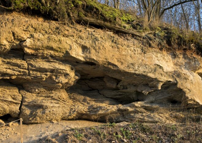 Tratamentul sensibilității dentare din cauza erodării