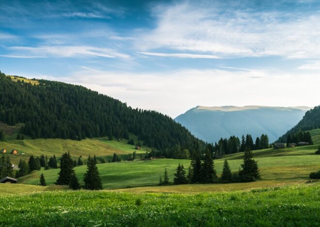 Cum să tratezi aftele și inflamațiile orale