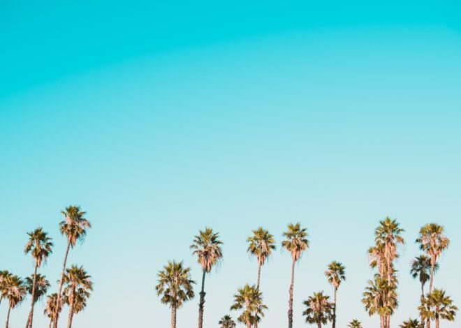 Tratamentul inflamațiilor gingivale la adulți