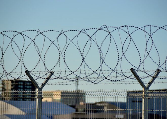 Alegerea unui Sistem Mesh pentru Acoperire Totală