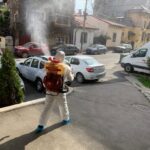 Contract servicii DDD plosnite – 7 lucruri pe care trebuie sa le citesti inainte sa semnezi