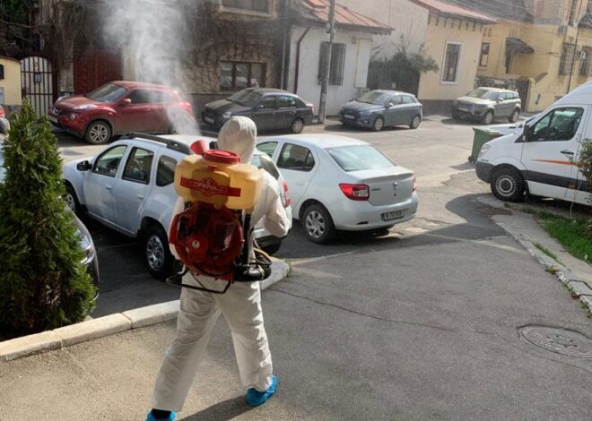 Contract servicii DDD plosnite – 7 lucruri pe care trebuie sa le citesti inainte sa semnezi