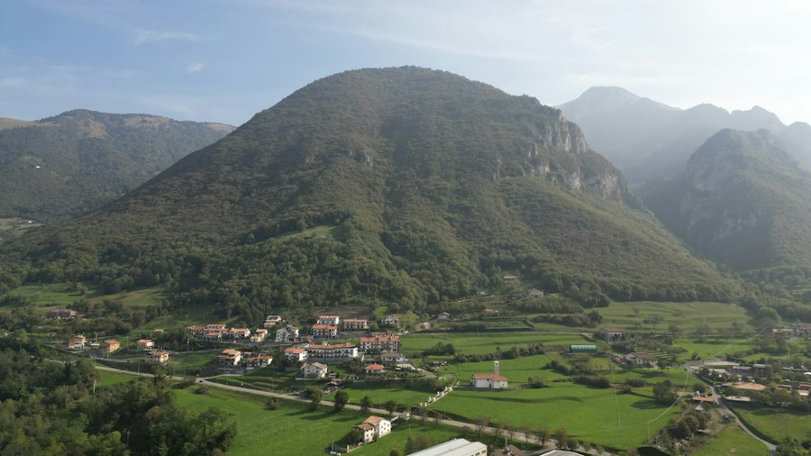 obiceiuri