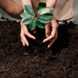 Beneficiile grădinăritului asupra sănătății mintale, dincolo de plăcerea de a vedea plante crescând — MEDANET