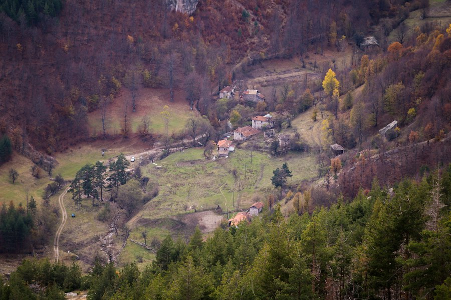 Photo obiceiuri