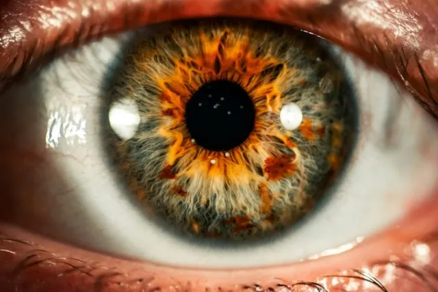 Photo eye health tips