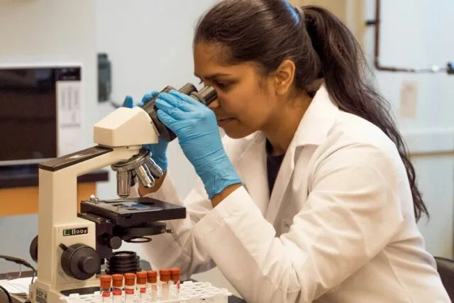 Photo common diseases research analysis recommendations